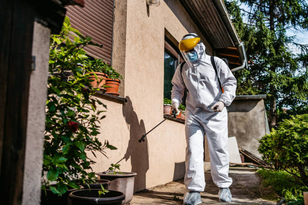 Best Flea Control Services  in Wabasso, FL