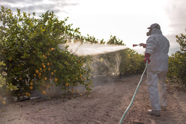 Pest Control for Restaurants in Wabasso, FL