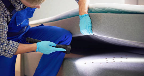  Wabasso, FL Pest Control Pros