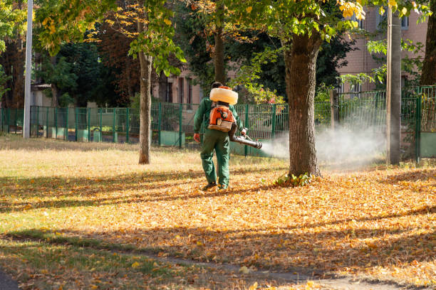 Pest Control Cost in Wabasso, FL