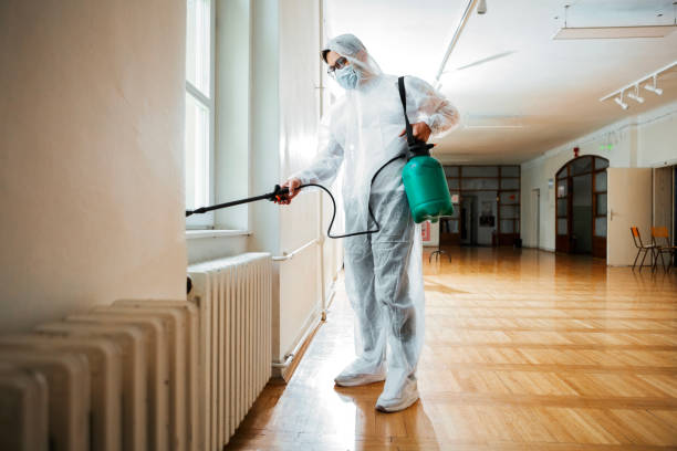 Best Best Pest Control Companies  in Wabasso, FL