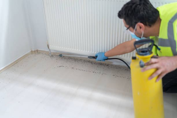 Best Ant Control Services  in Wabasso, FL