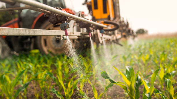 Professional Pest Control in Wabasso, FL
