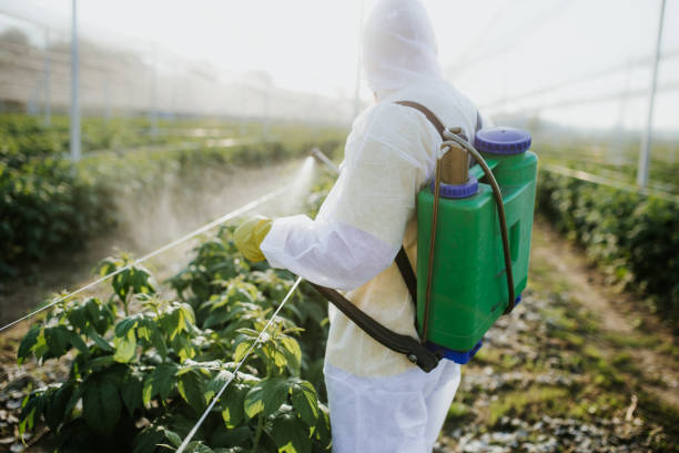 Best Mosquito Control Services  in Wabasso, FL